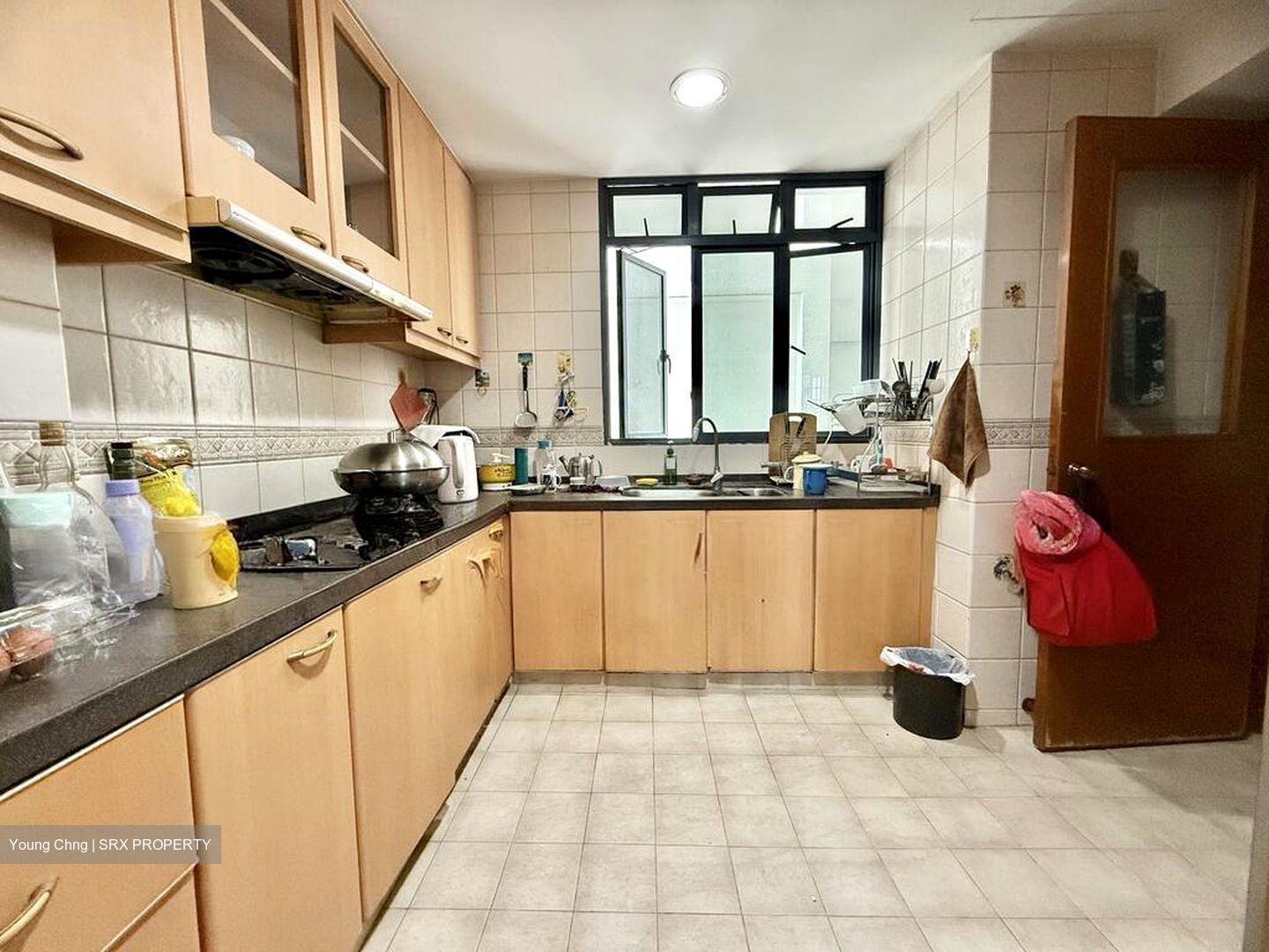 Regentville (D19), Apartment #517282401